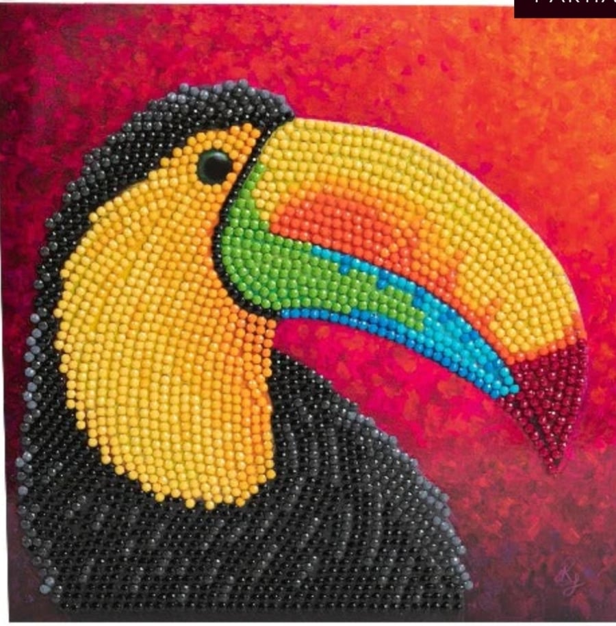 Tropical toucan card diamond painting kit