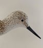 Greenshank - Image 4