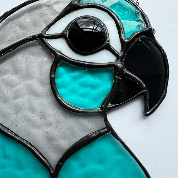Custom stained glass conure parrot portrait