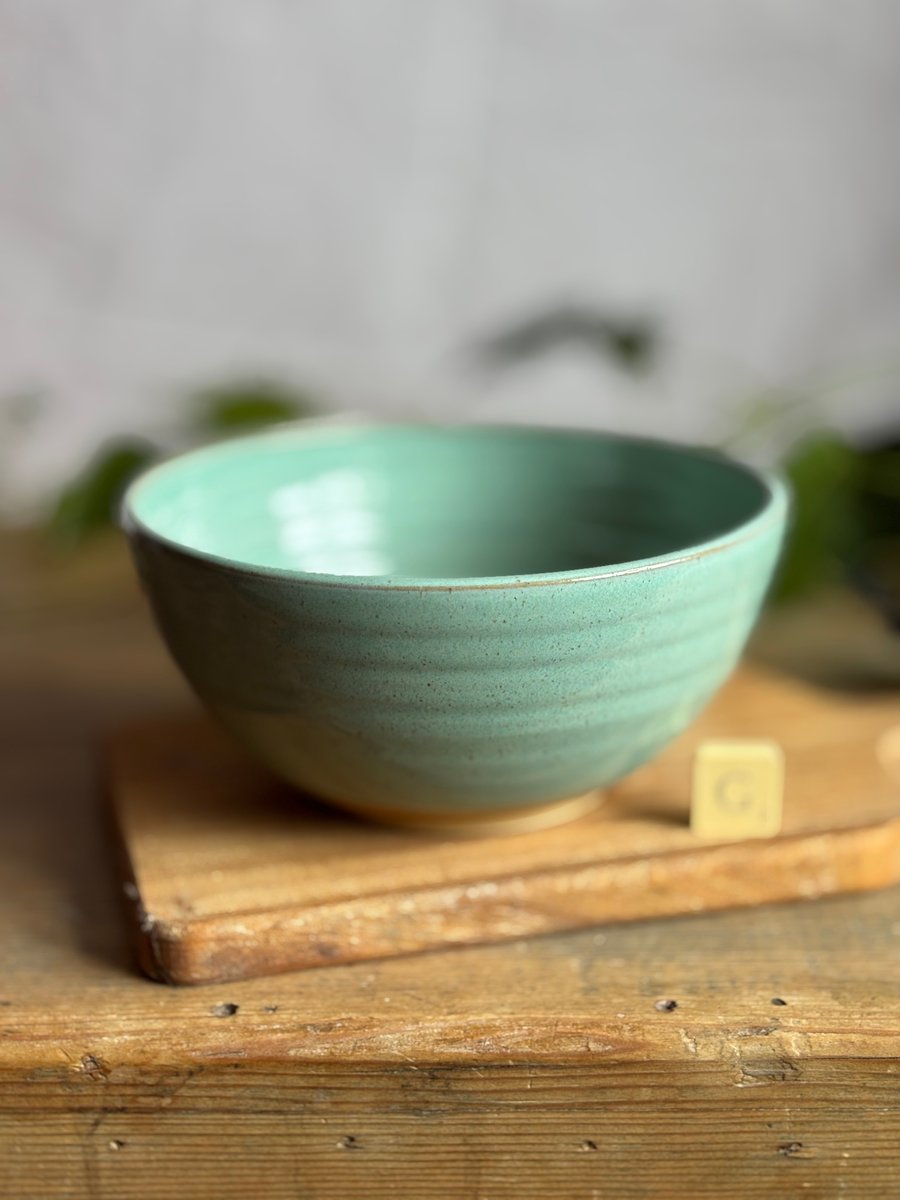 Pottery Noodle Bowl