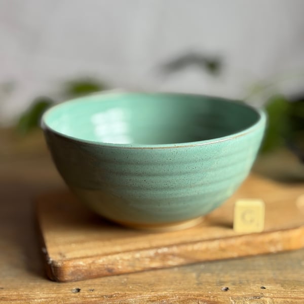 Pottery Noodle Bowl
