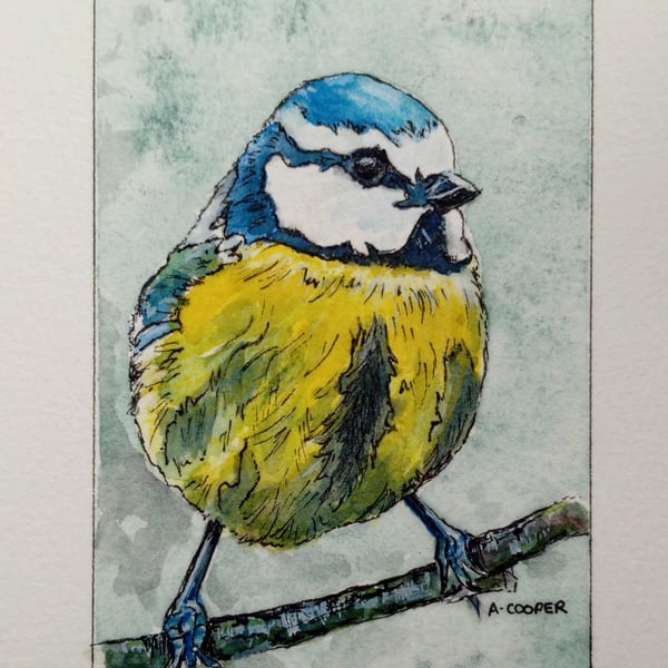 , LITTLE BLUETIT, original watercolour and fine liner painting 