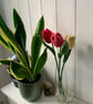 tulip bouquet, 3 crochet tulip mini bouquet, everlasting flowers - Image 8