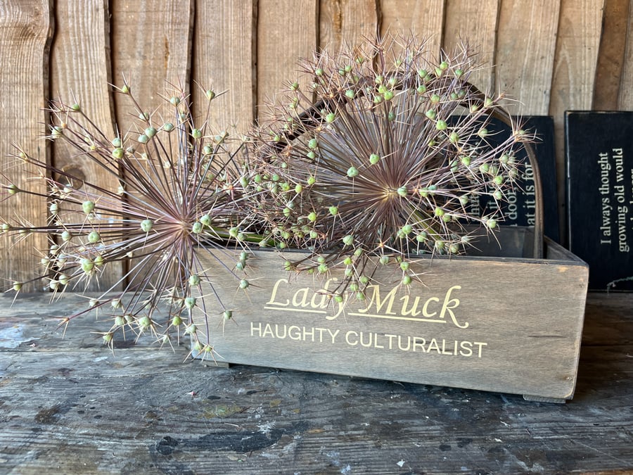 The Haughty Culturalist