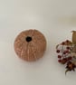 Hand built Stoneware sea urchin Vase