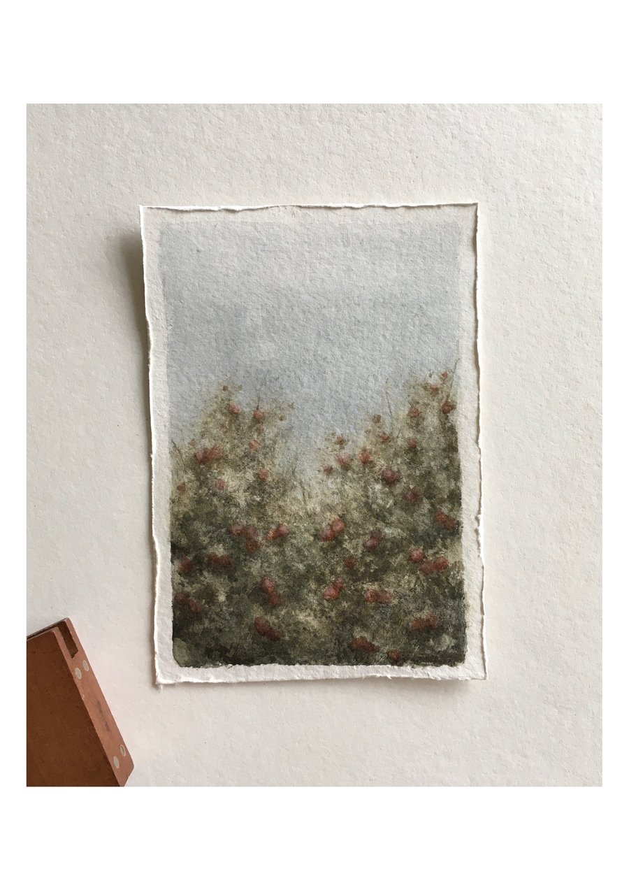 Pink hydrangea original watercolour painting 