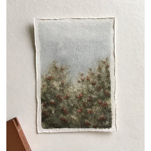 Pink hydrangea original watercolour painting 