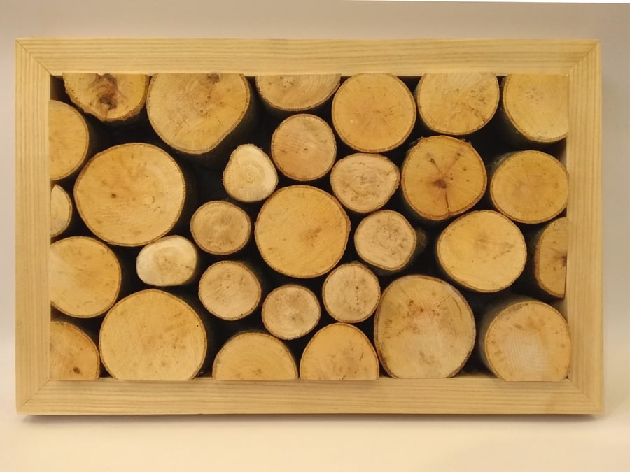 Beech wood slice art - CUSTOM made - can choose frame & size