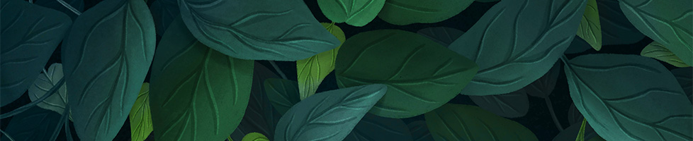 KasiaKozakiewiczIllu