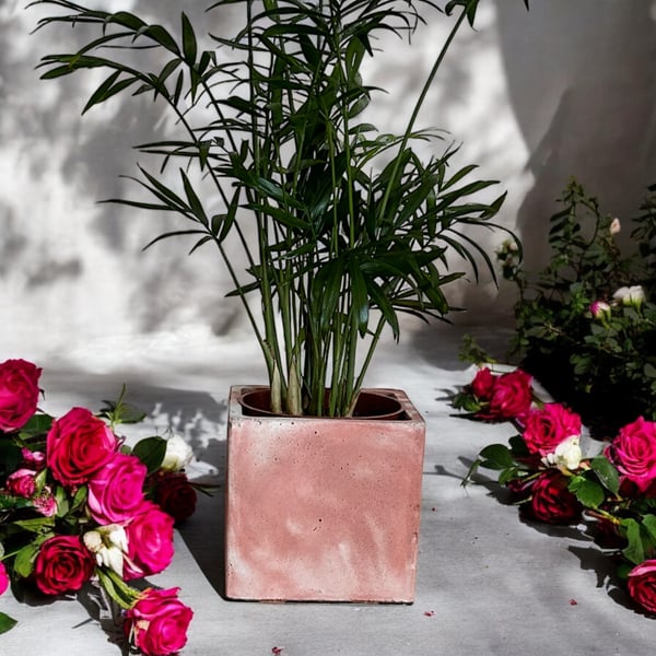 Concrete Cube Plant Pot - Terracotta Pink and Grey Square Planter