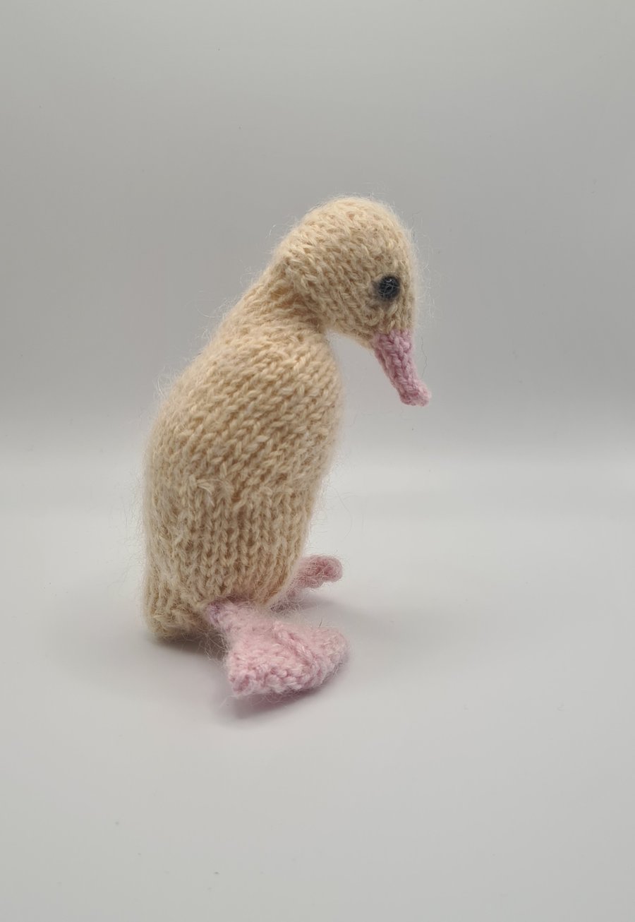 Super Fluffy, Cuddly Duckling