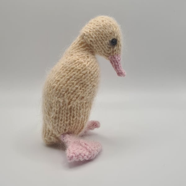 Super Fluffy, Cuddly Duckling