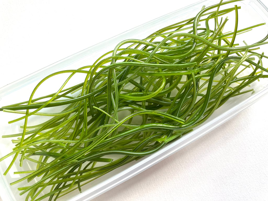 200g Mixed Green Bullseye 90 coe glass Vitrigraph stringers