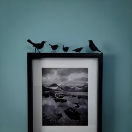 British Garden Birds Black Silhouette, Blackbird, Robin, Wren, Nuthatch, Thrush