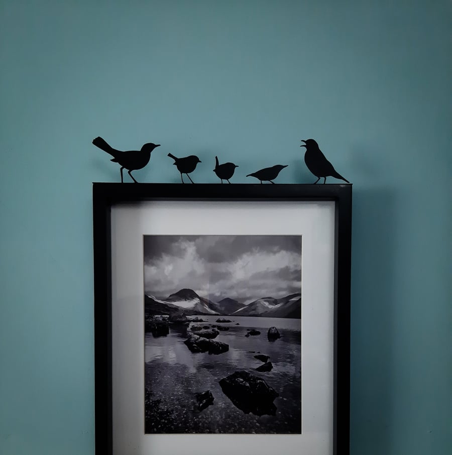 British Garden Birds Black Silhouette, Blackbird, Robin, Wren, Nuthatch, Thrush