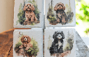 Dog Coasters
