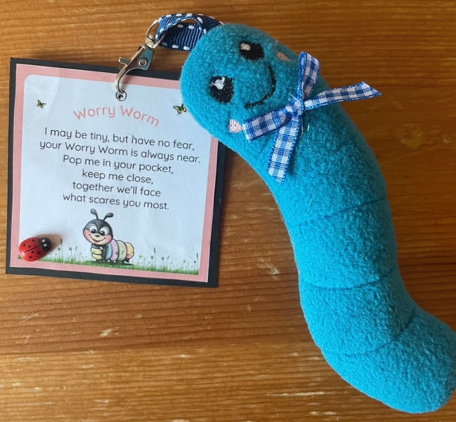Homemade  Worry Worms send asd, semh , communication aid 