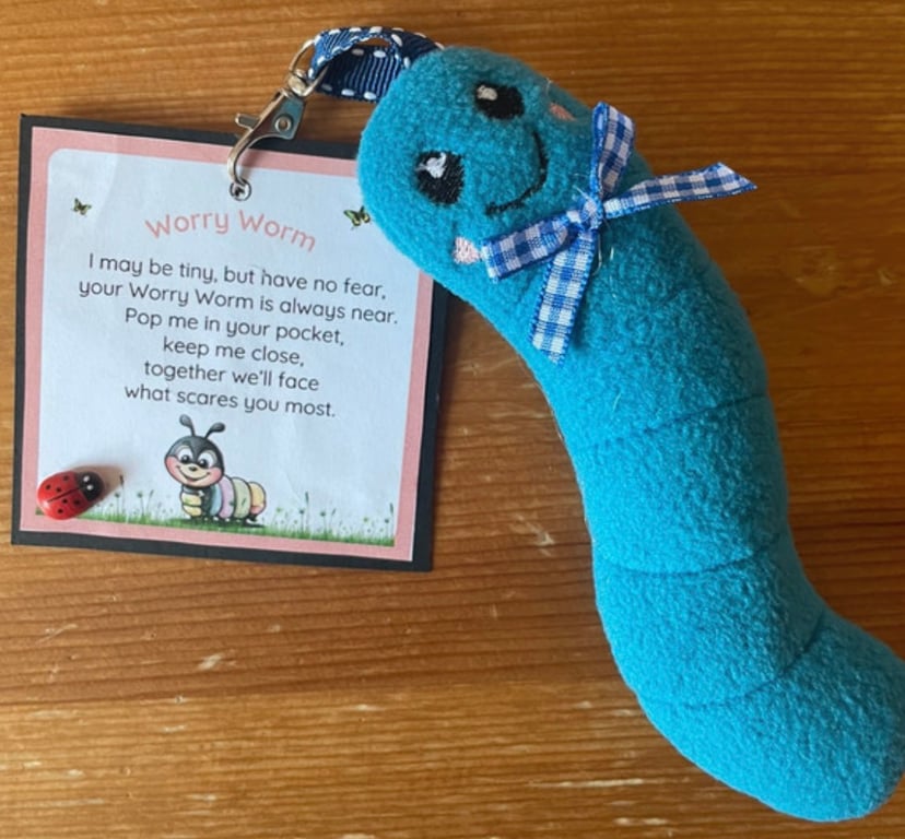 Homemade  Worry Worms send asd, semh , communication aid 
