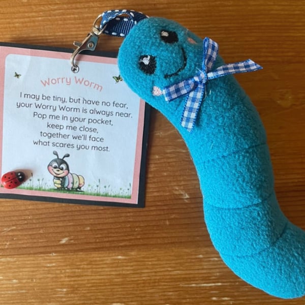 Homemade  Worry Worms send asd, semh , communication aid 