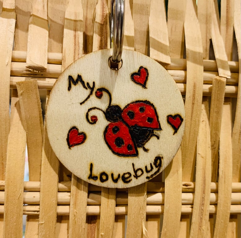 Ladybug keyring