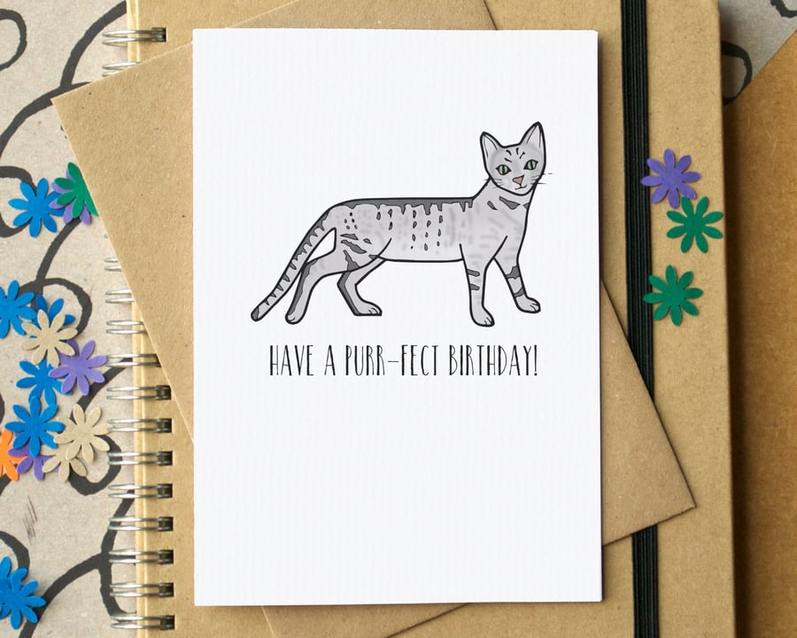 "Have a Purr-fect Birthday" Funny Cat Card