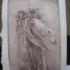 Mari Lwyd drypoint etching
