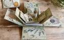 Exploding Boxes and Pop Up Cards
