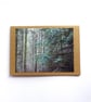 Forest Cards - READY TO SHIP - Image 3
