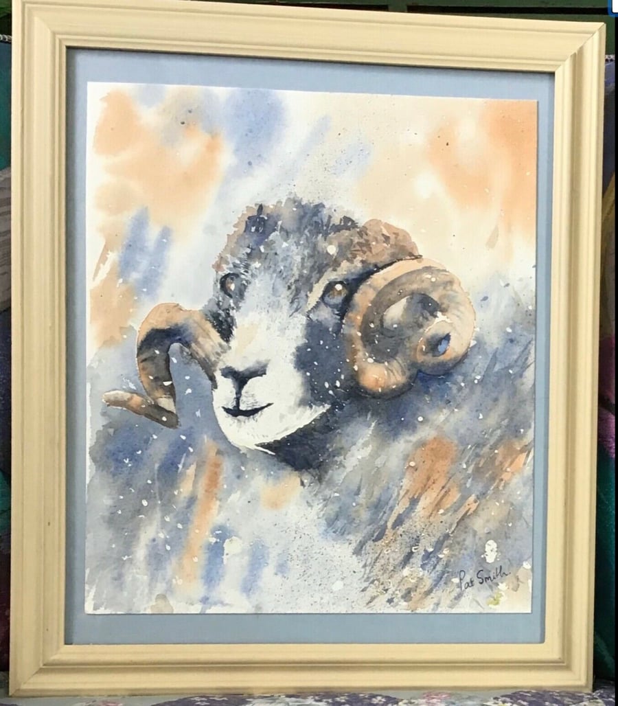 Sheep Portrait, No 1. original watercolour
