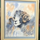 Sheep Portrait, No 1. original watercolour