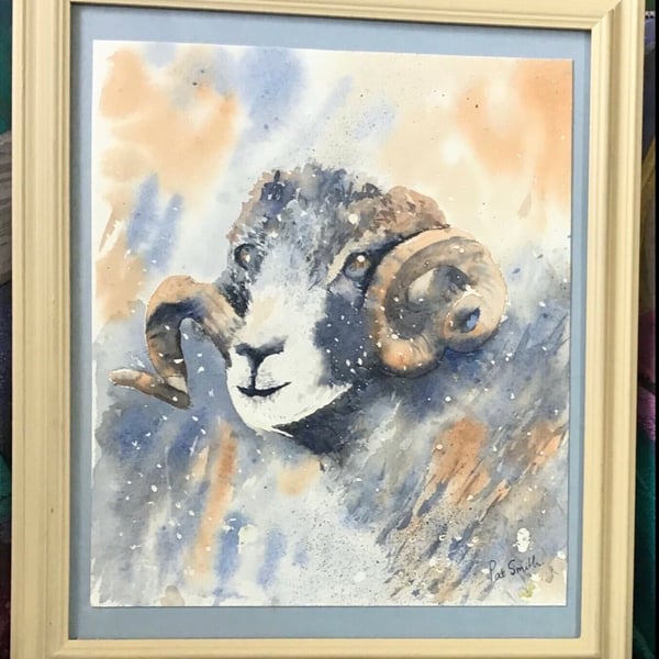Sheep Portrait, No 1. original watercolour