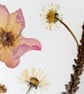 Handmade Pressed Flowers. Original Design. A4 size. - Image 7