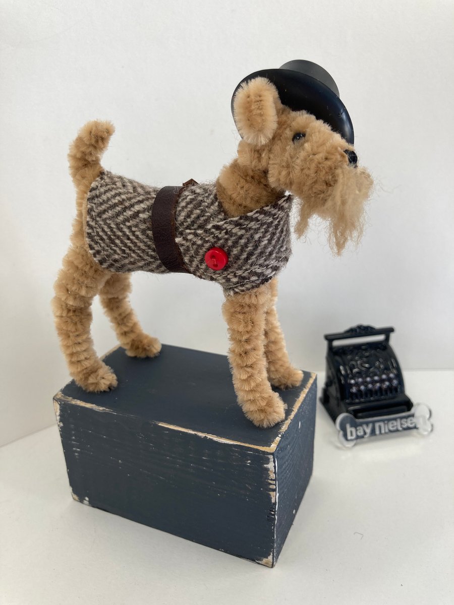 Terrier Dog - Dandy Jim