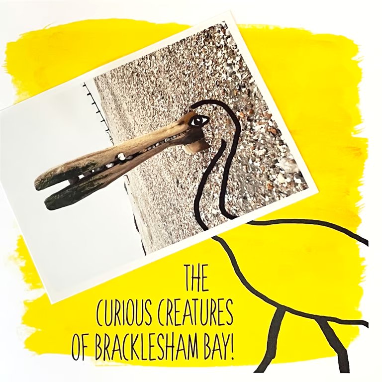 Ibis; greetings card, blank inside, printed on card and photographic paper