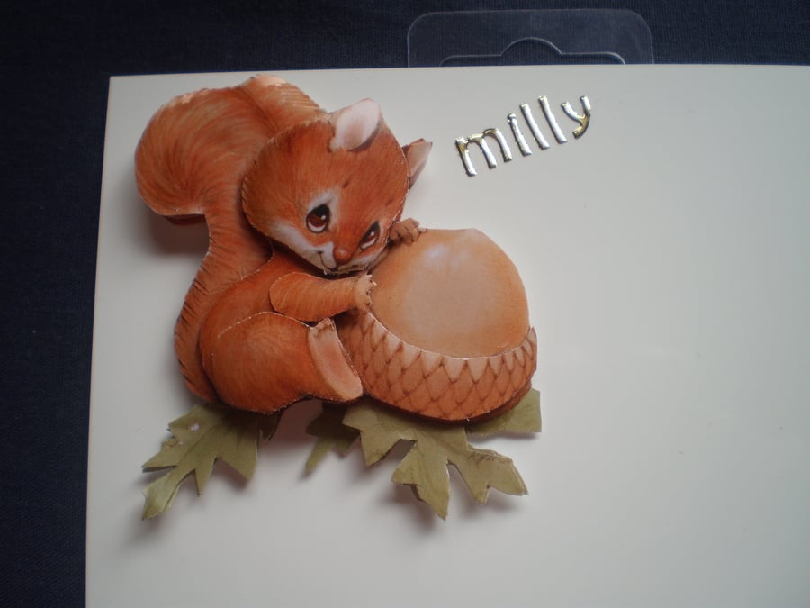 Wipe Clean Board, 3D, Decoupage Squirrel, Personalised Gift SALE