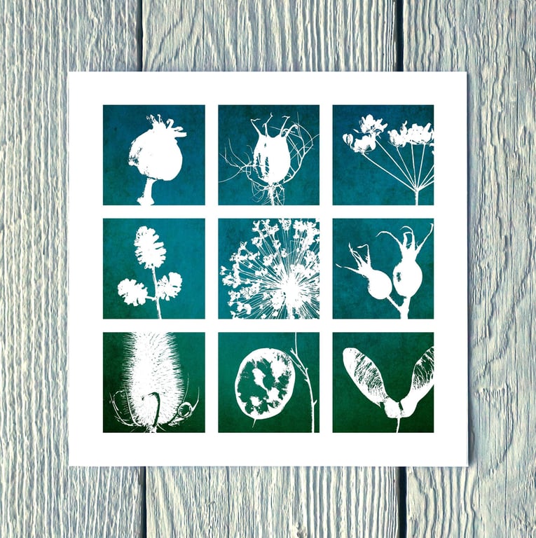 Nine Seedheads, Greetings Card