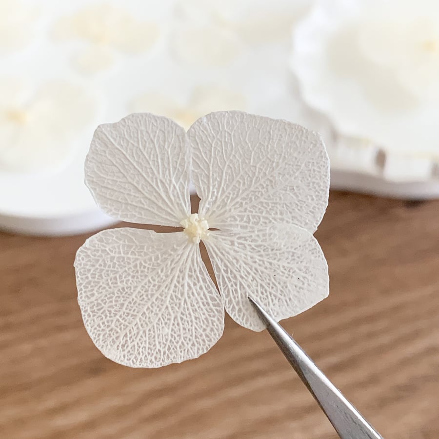 Pressed Hygrandea White Preserved 20 pcs Pressed Flowers For Resin For DIY Handc