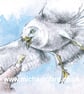 watercolour print of a seagull worthing beach sussex - Image 4