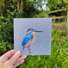 Kingfisher card