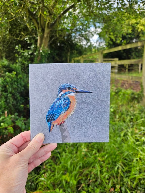 Kingfisher card, printed on recycled card, blank
