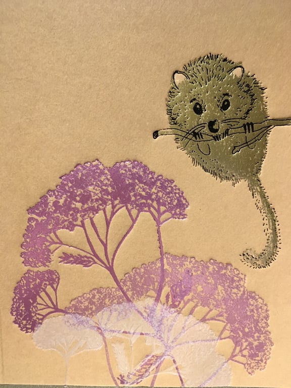 Dormouse - Greetings Card