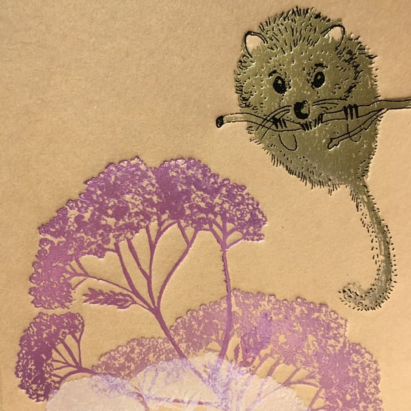 Dormouse - Greetings Card