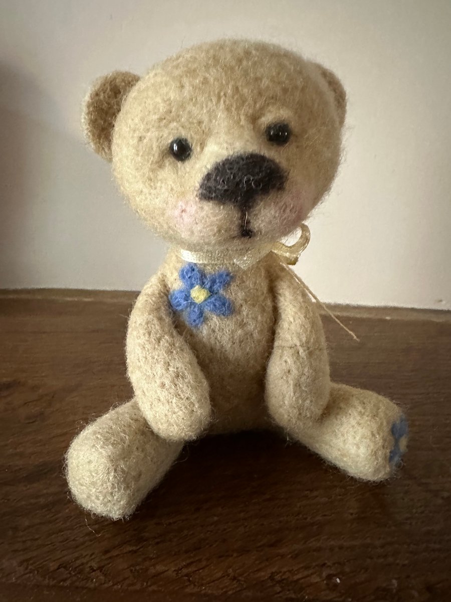 Little bear forget me not 