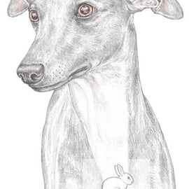 Jim the Whippet - Blank Card