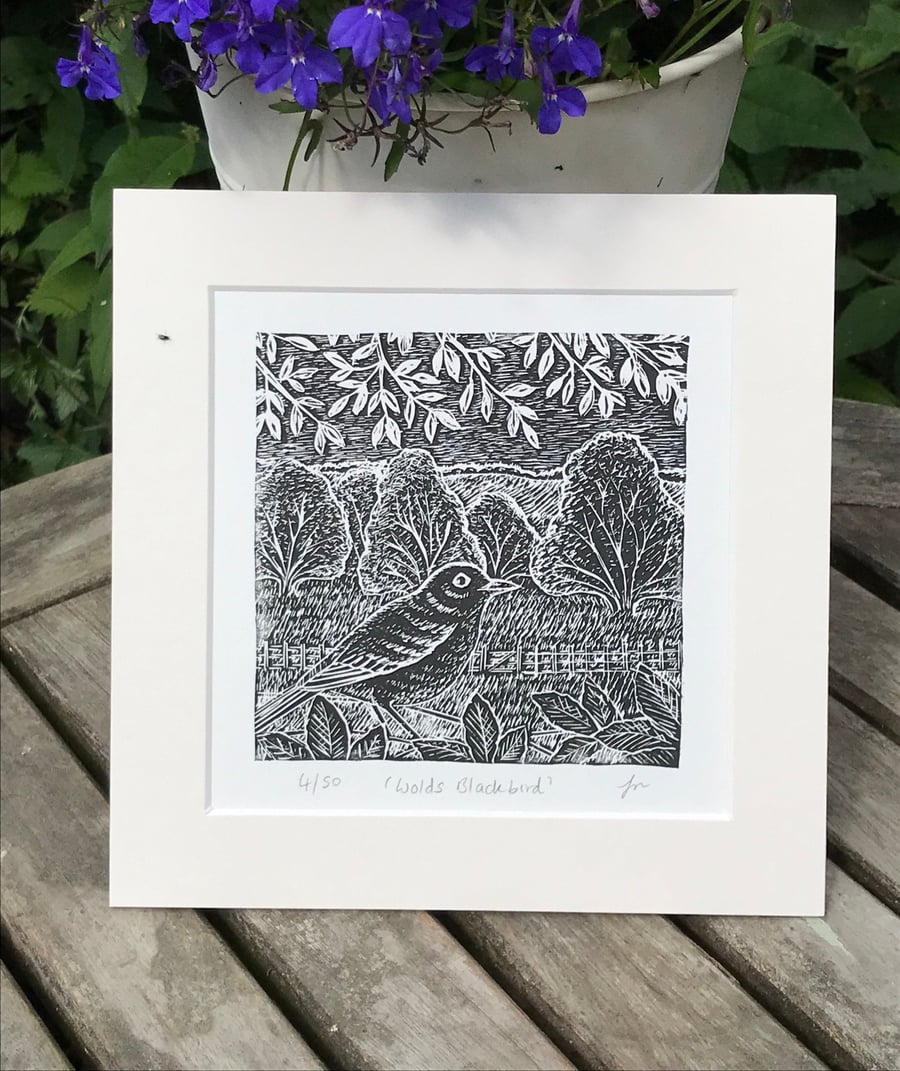 Linocut print ‘Wolds Blackbird’ original limited edition lino print