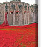 Tower Of London Red Poppy Memorial England Photograph Print - Image 6