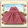 Red Checked School Dress