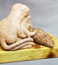 3 Meerkats hugging at a log - Image 6