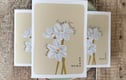 Birth Flower Cards 