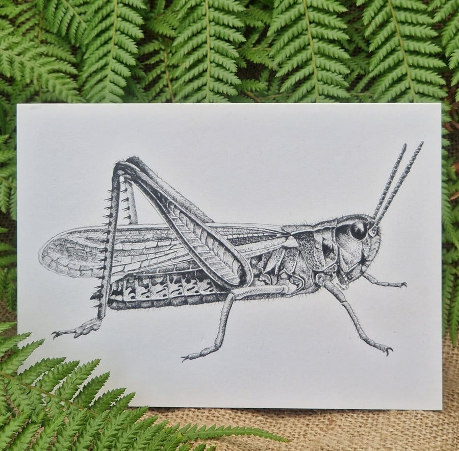 Grasshopper card
